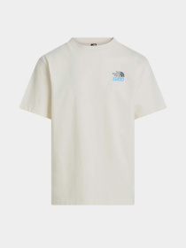 The North Face модель NF0A8GB2QLI1 Фото