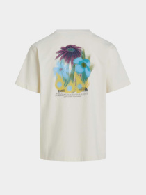 The North Face модель NF0A8GB2QLI1 Фото