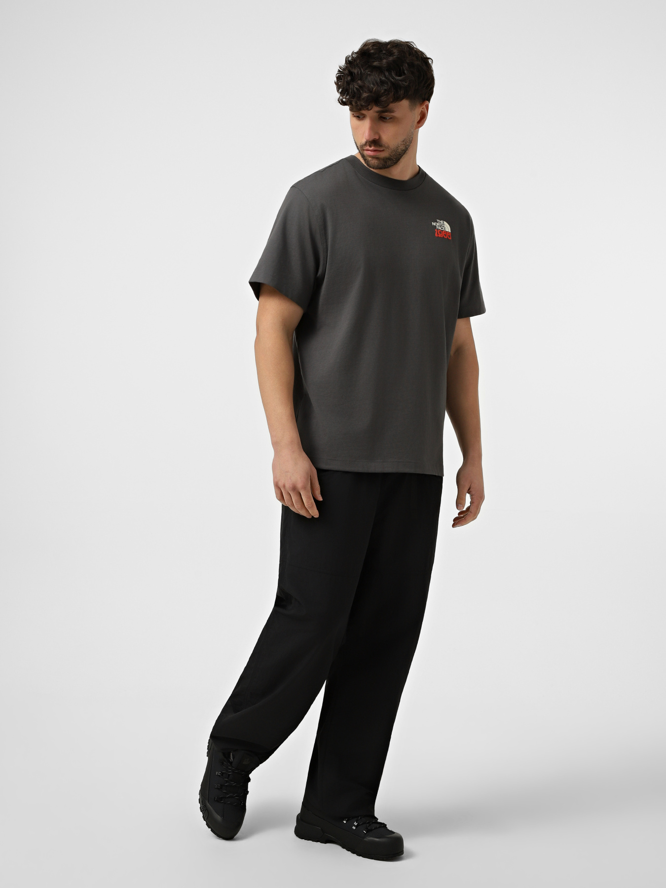 Футболки и поло The North Face M 1966 FLORA RELAXED SHORT SLE модель NF0A8GB2RHI1 Фото