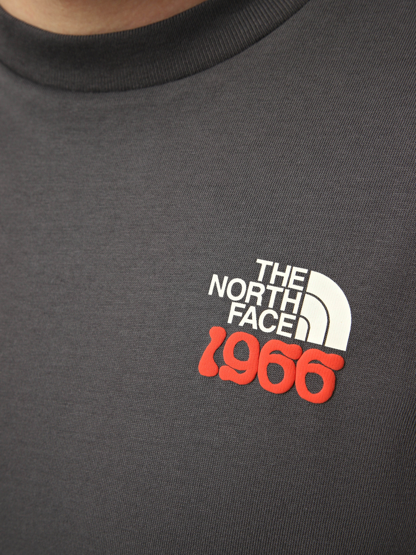 Футболки и поло The North Face M 1966 FLORA RELAXED SHORT SLE модель NF0A8GB2RHI1 Фото