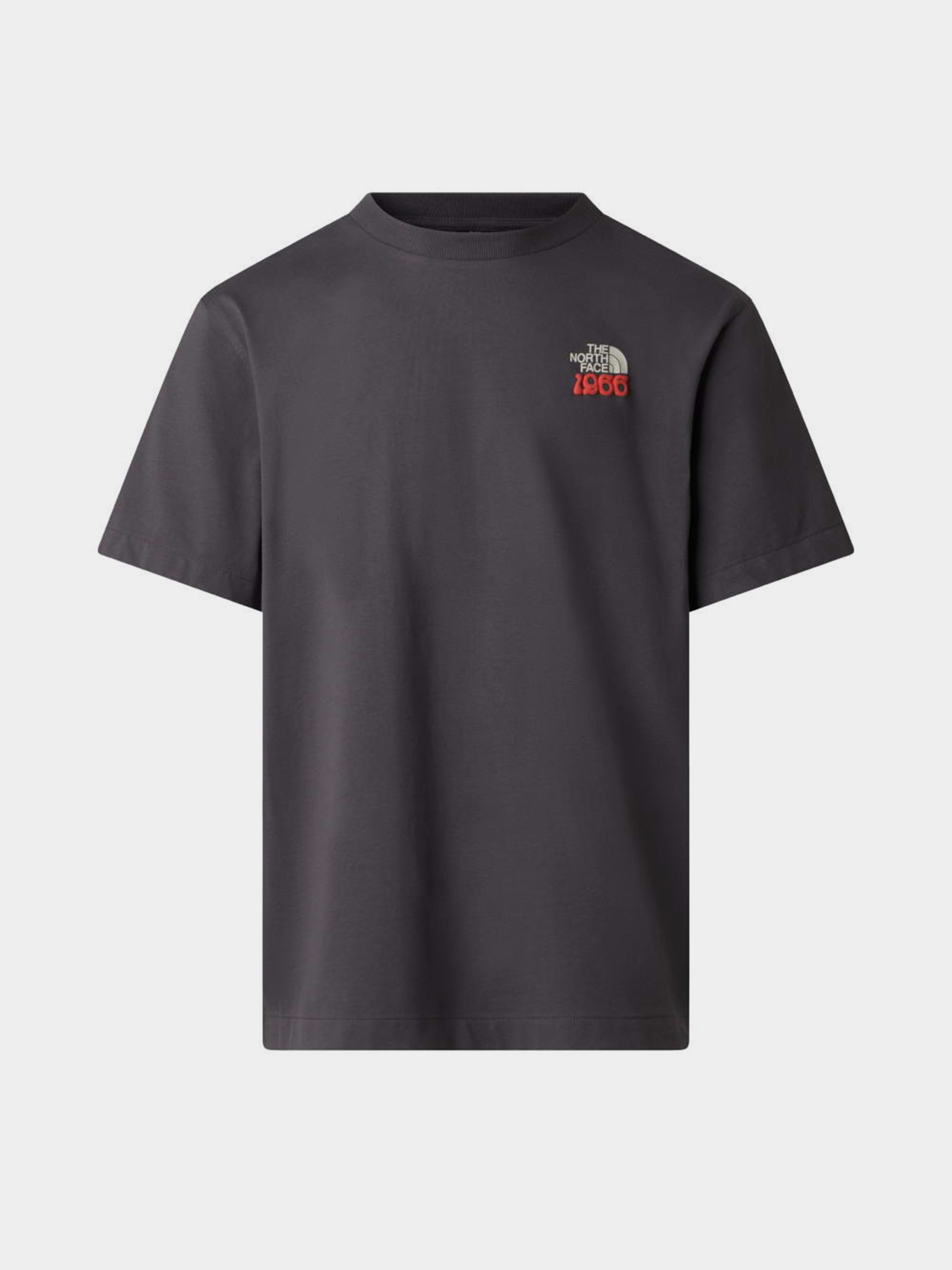 The North Face модель NF0A8GB2RHI1 Фото