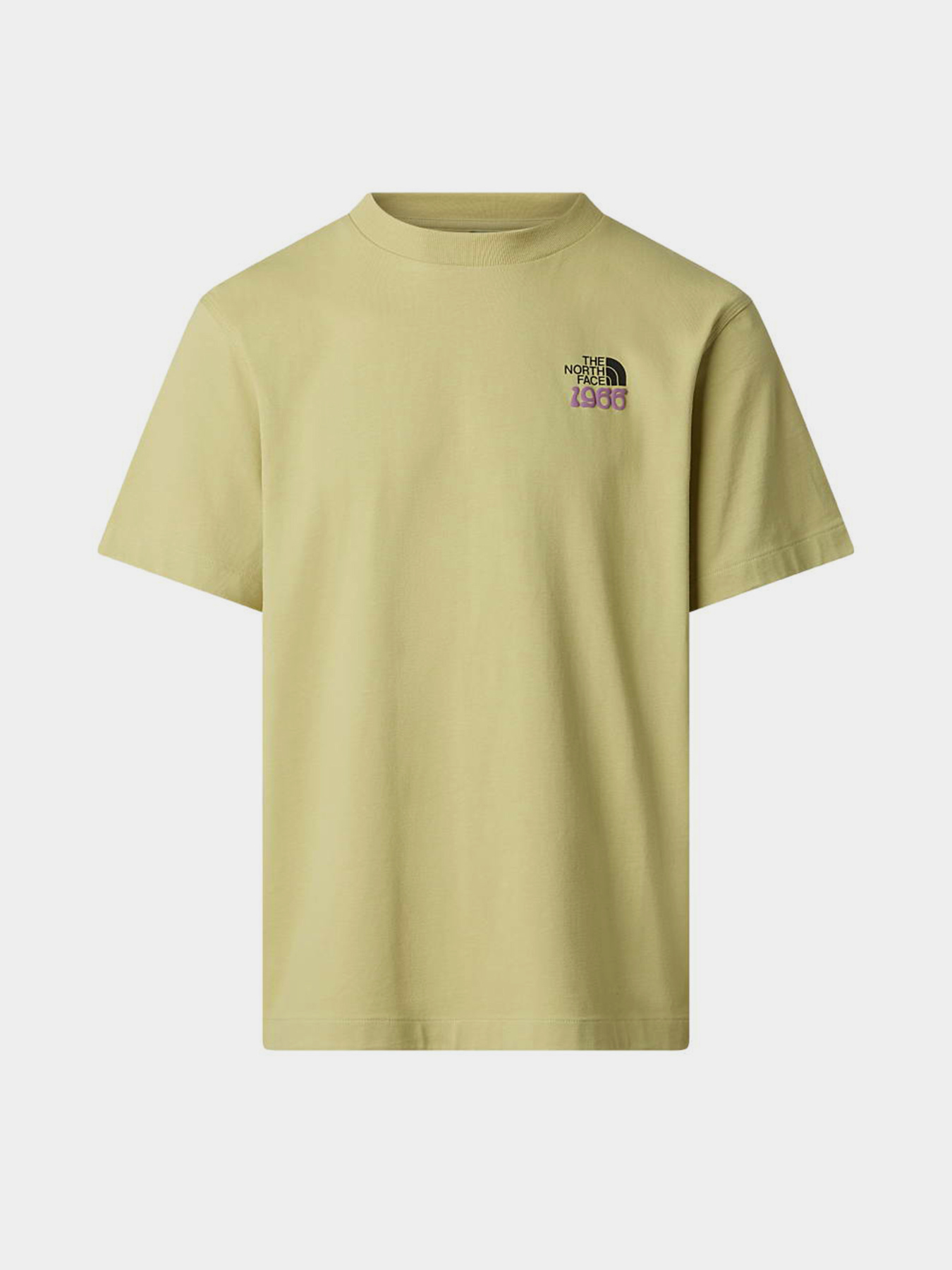 The North Face модель NF0A8GB2G731 Фото