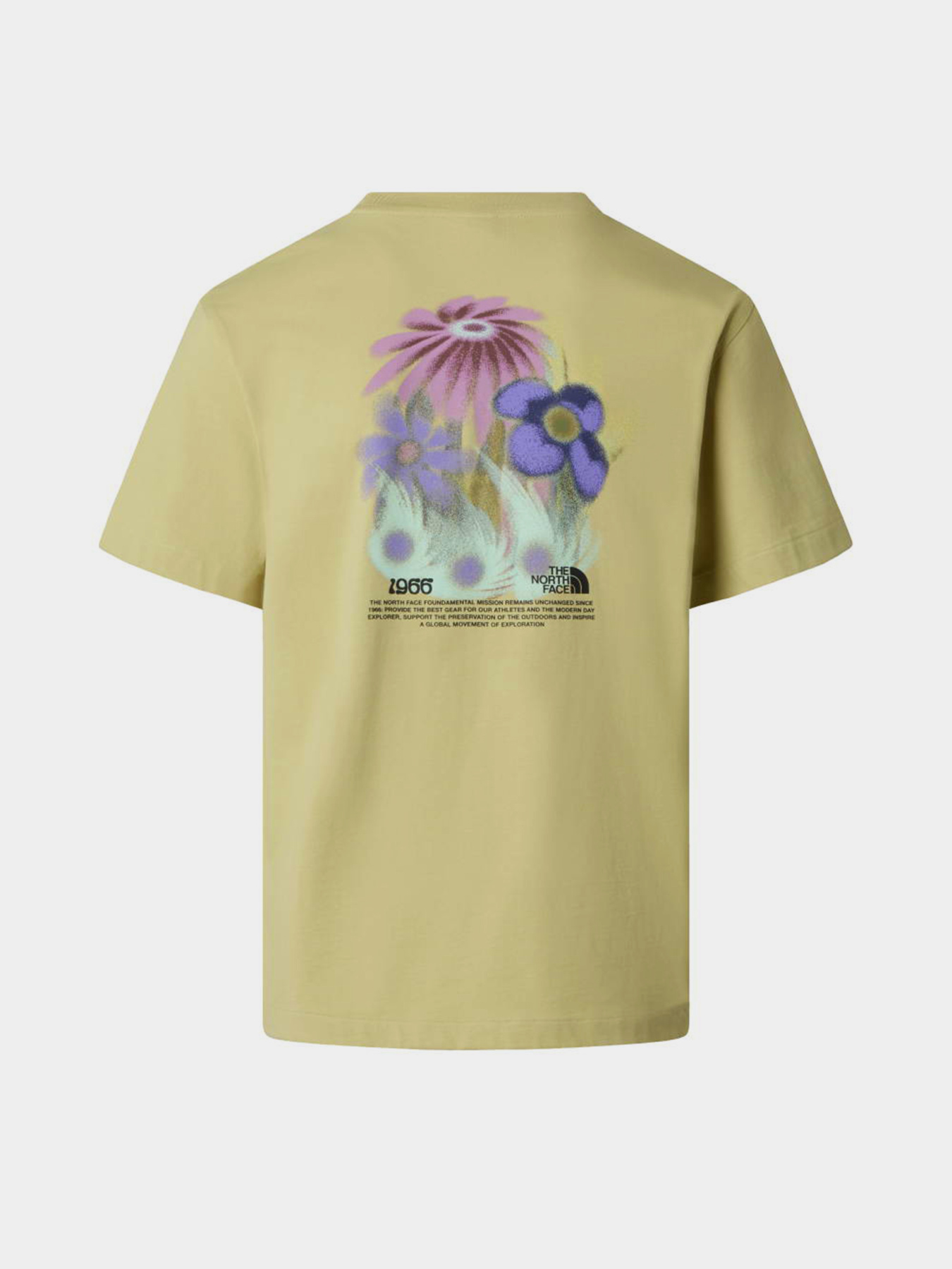 The North Face модель NF0A8GB2G731 Фото