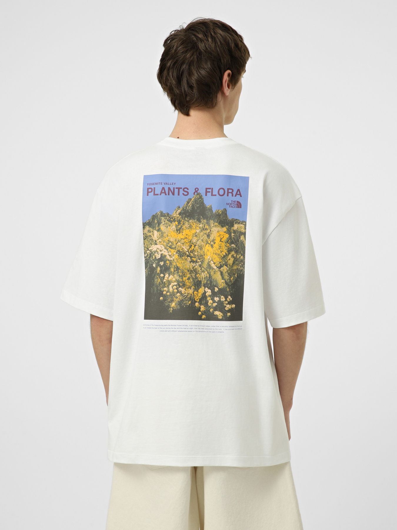 Футболки и поло The North Face M PLANT & FLORA OVERSIZE SHORT модель NF0A8GB3FN41 Фото