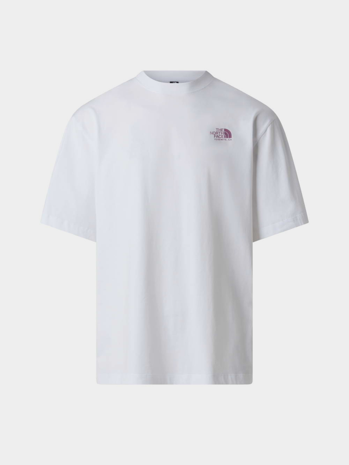 The North Face модель NF0A8GB3FN41 Фото