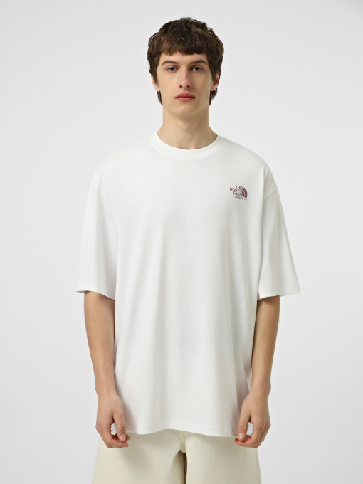 Футболка The North Face M PLANT & FLORA OVERSIZE SHORT модель NF0A8GB3FN41 Фото