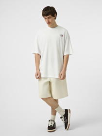 Футболки и поло The North Face M PLANT & FLORA OVERSIZE SHORT модель NF0A8GB3FN41 Фото