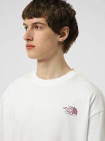 Футболки и поло The North Face M PLANT & FLORA OVERSIZE SHORT модель NF0A8GB3FN41 Фото