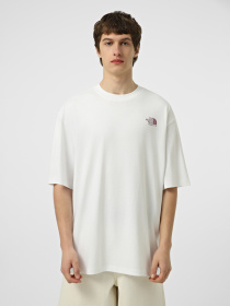 Футболка The North Face M PLANT & FLORA OVERSIZE SHORT модель NF0A8GB3FN41 Фото