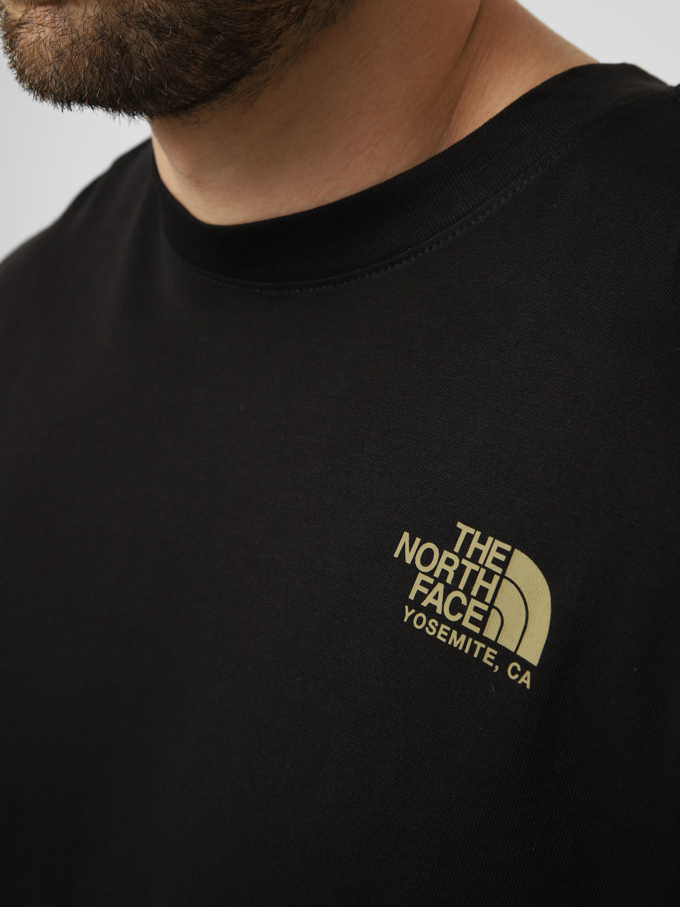 Футболки и поло The North Face M PLANT & FLORA OVERSIZE SHORT модель NF0A8GB3JK31 Фото