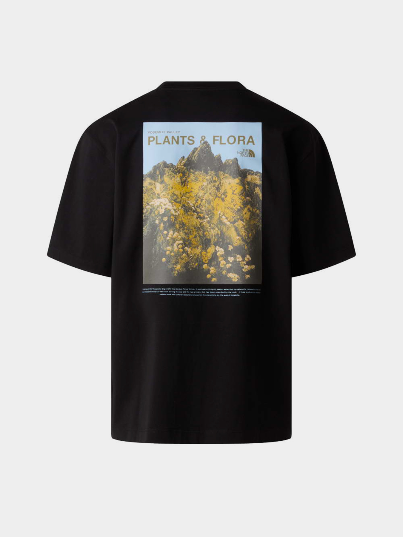 The North Face модель NF0A8GB3JK31 Фото