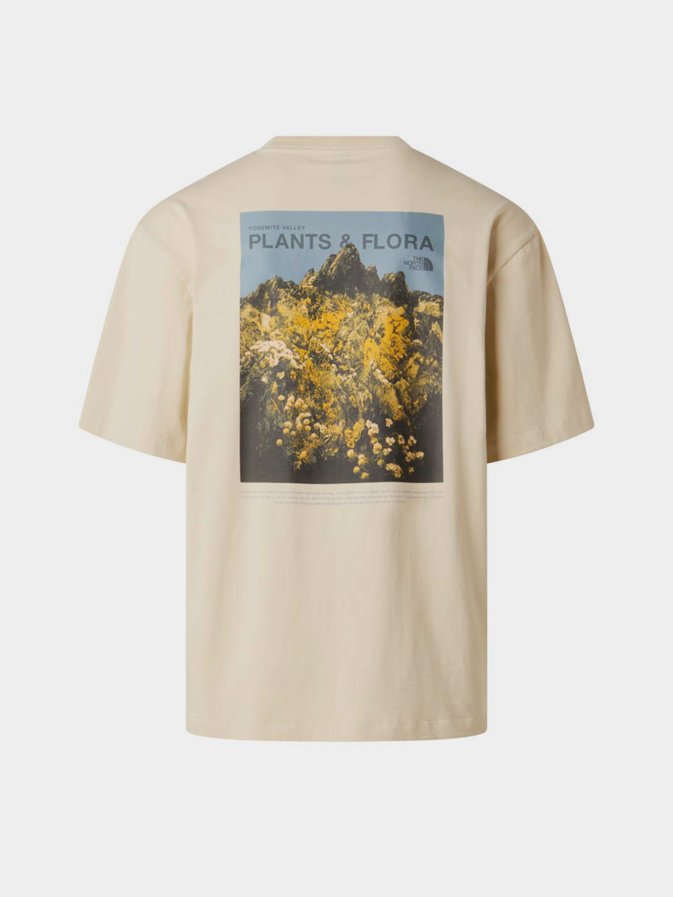 The North Face модель NF0A8GB3DOM1 Фото