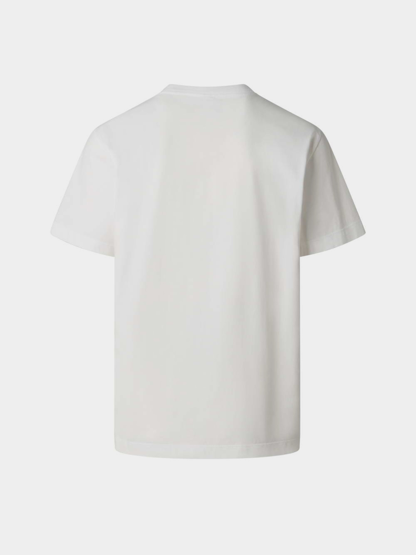 The North Face модель NF0A8GQEFN41 Фото