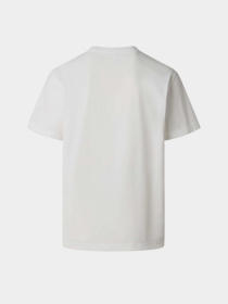 The North Face модель NF0A8GQEFN41 Фото