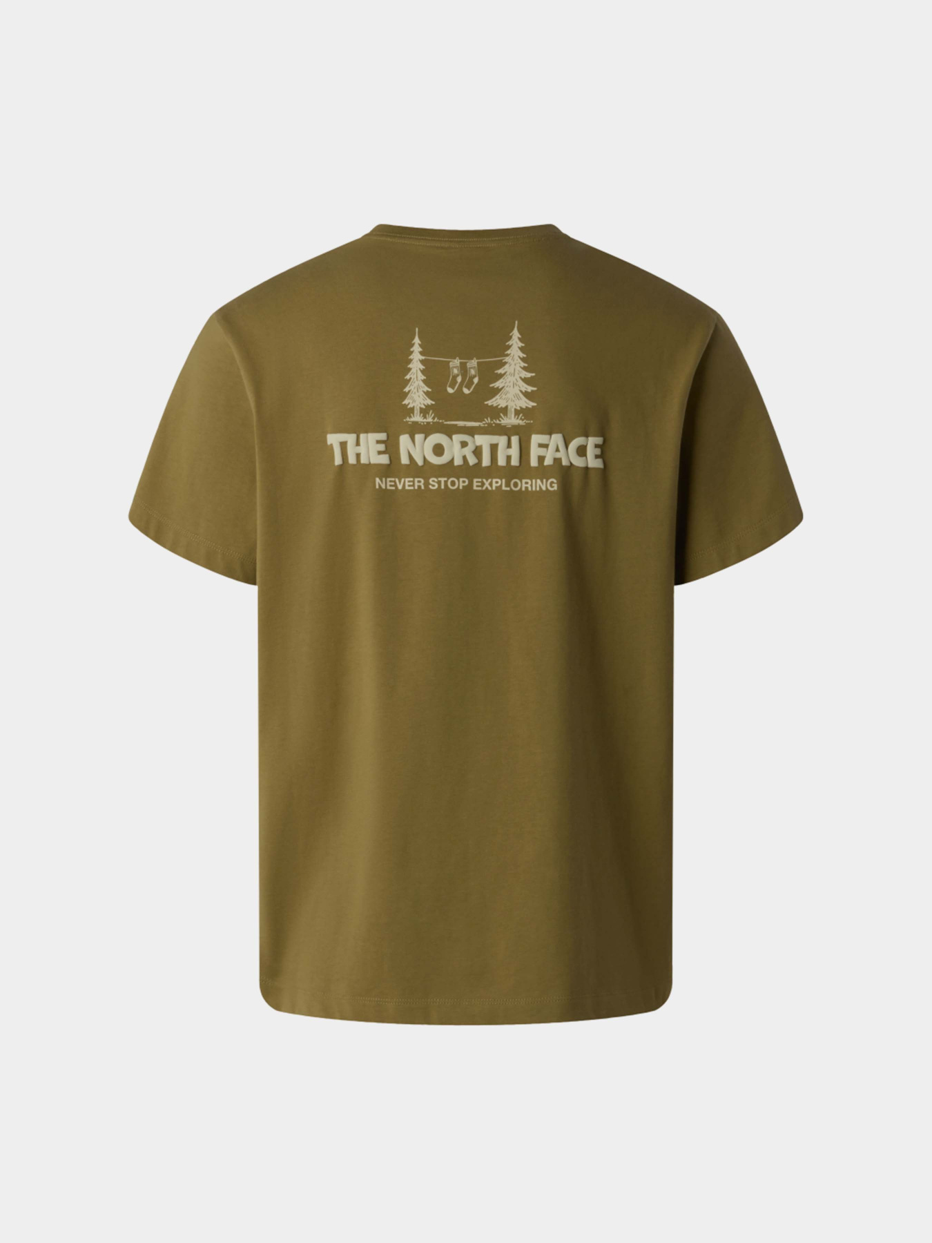 Футболки и поло The North Face M CAMPING RELAXED SHORT SLEEVE модель NF0A8GQM2EL1 Фото