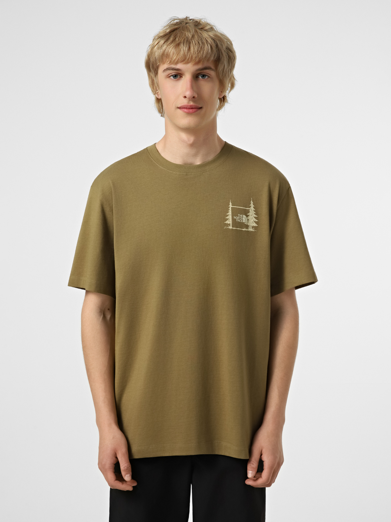 Футболки и поло The North Face M CAMPING RELAXED SHORT SLEEVE модель NF0A8GQM2EL1 Футболки и поло The North Face M CAMPING RELAXED SHORT SLEEVE модель NF0A8GQM2EL1 Фото