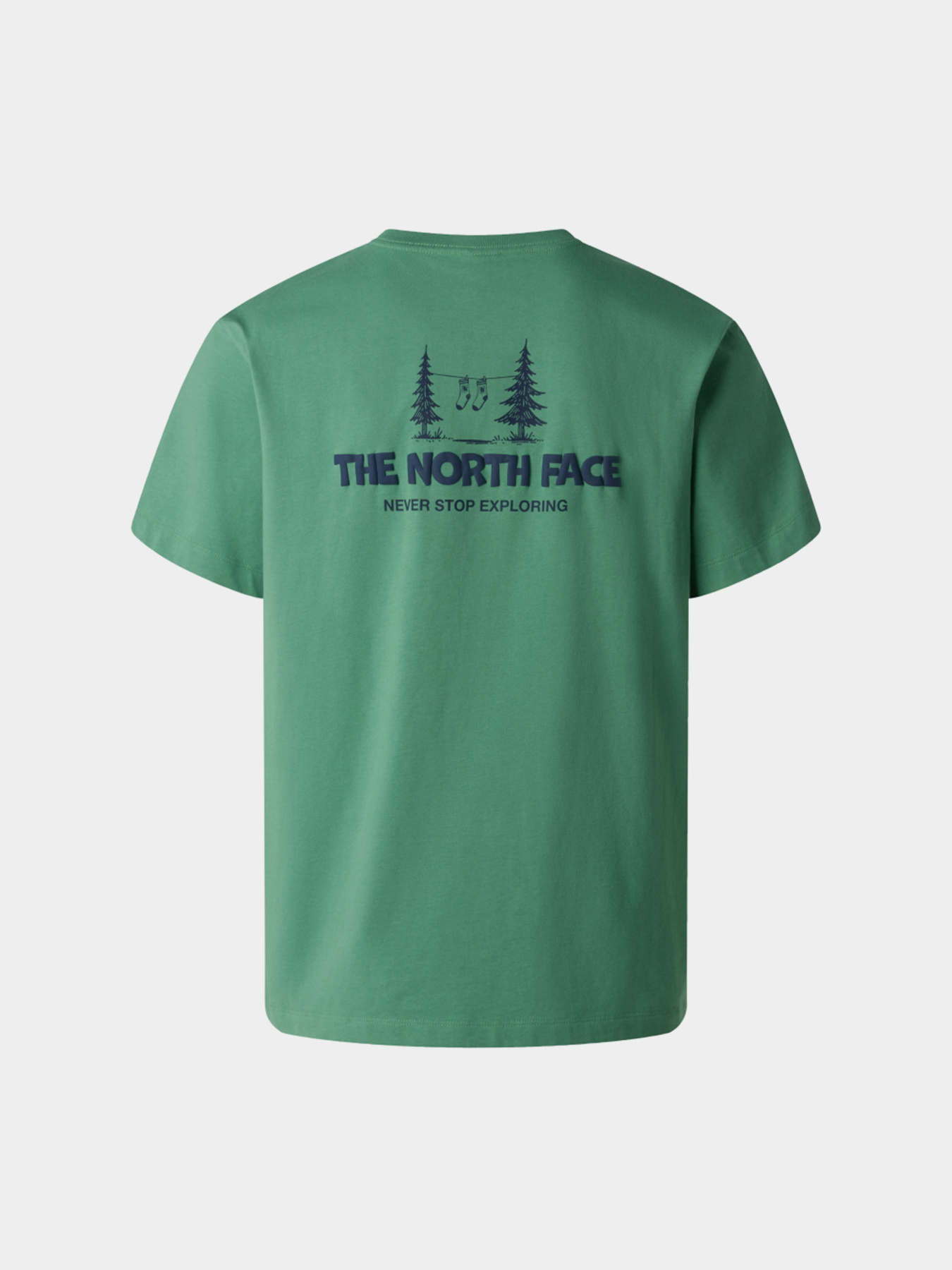 Футболки и поло The North Face M CAMPING RELAXED SHORT SLEEVE модель NF0A8GQMG571 Фото