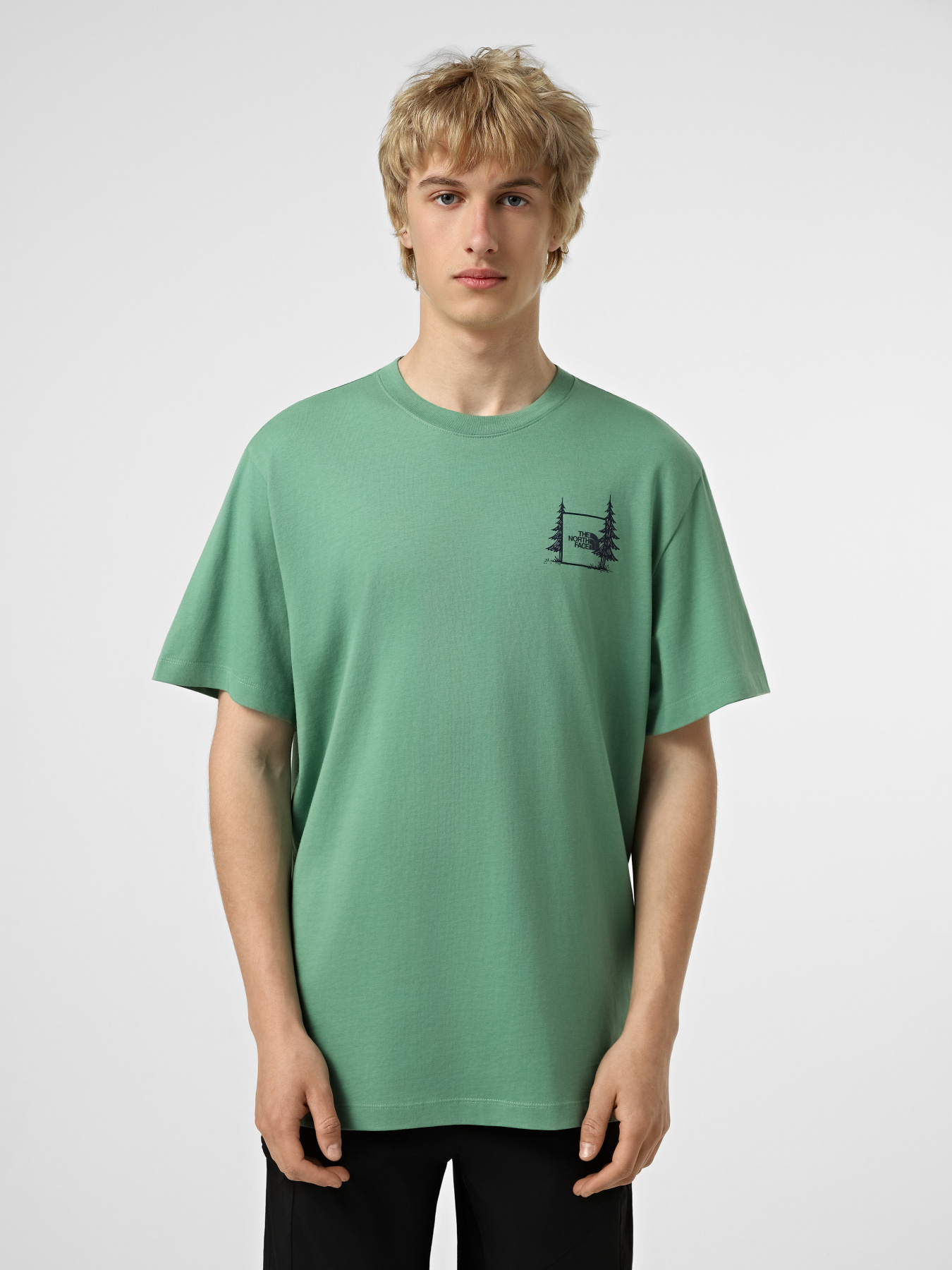 Футболки и поло The North Face M CAMPING RELAXED SHORT SLEEVE модель NF0A8GQMG571 Футболки и поло The North Face M CAMPING RELAXED SHORT SLEEVE модель NF0A8GQMG571 Фото