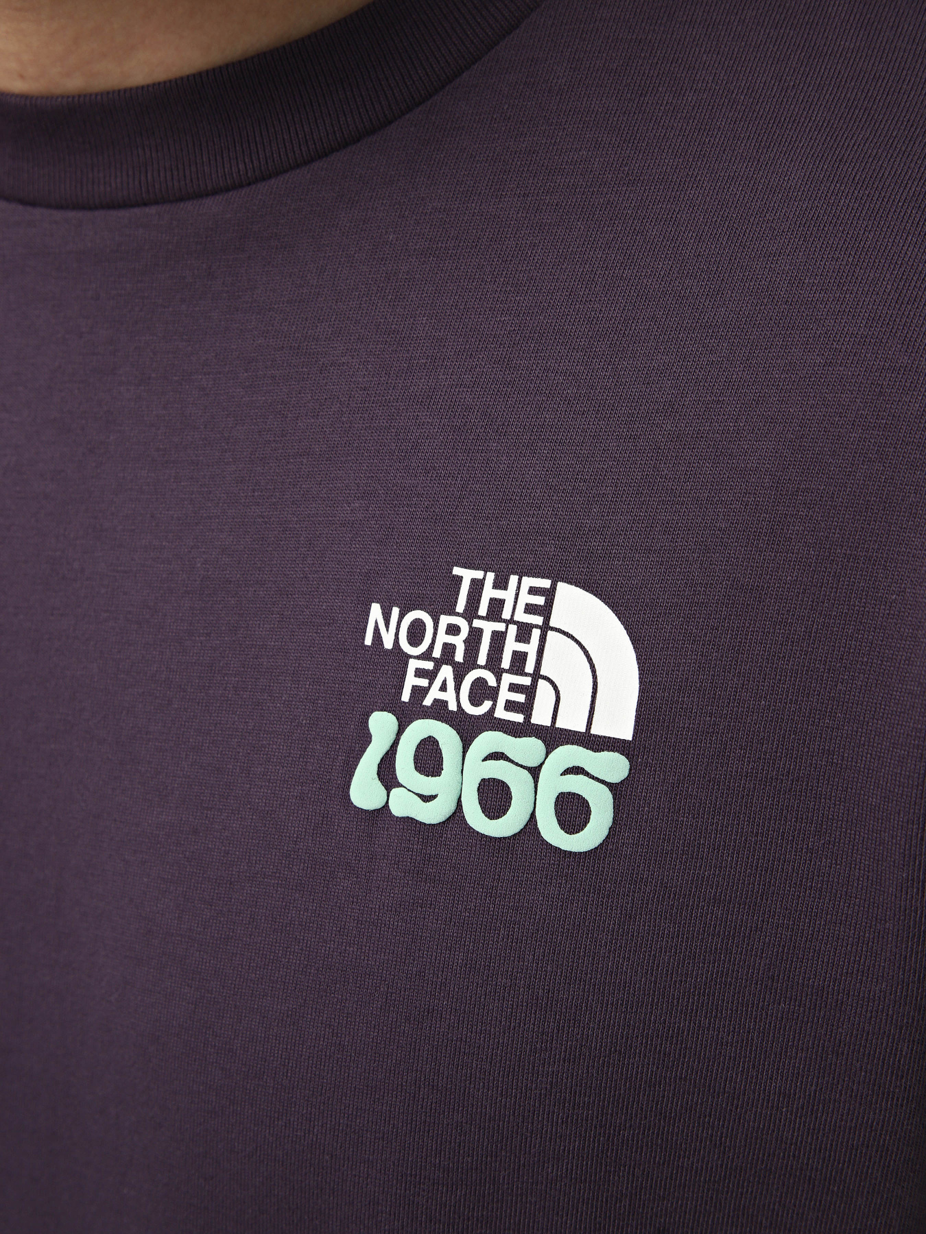 Футболки і поло The North Face M 1966 TNF RELAXED SHORT SLEEV модель NF0A8GQUG5O1 Фото