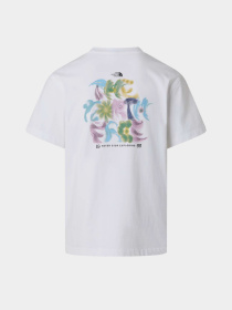 The North Face модель NF0A8GQUFN41 Фото