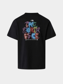 The North Face модель NF0A8GQUJK31 Фото