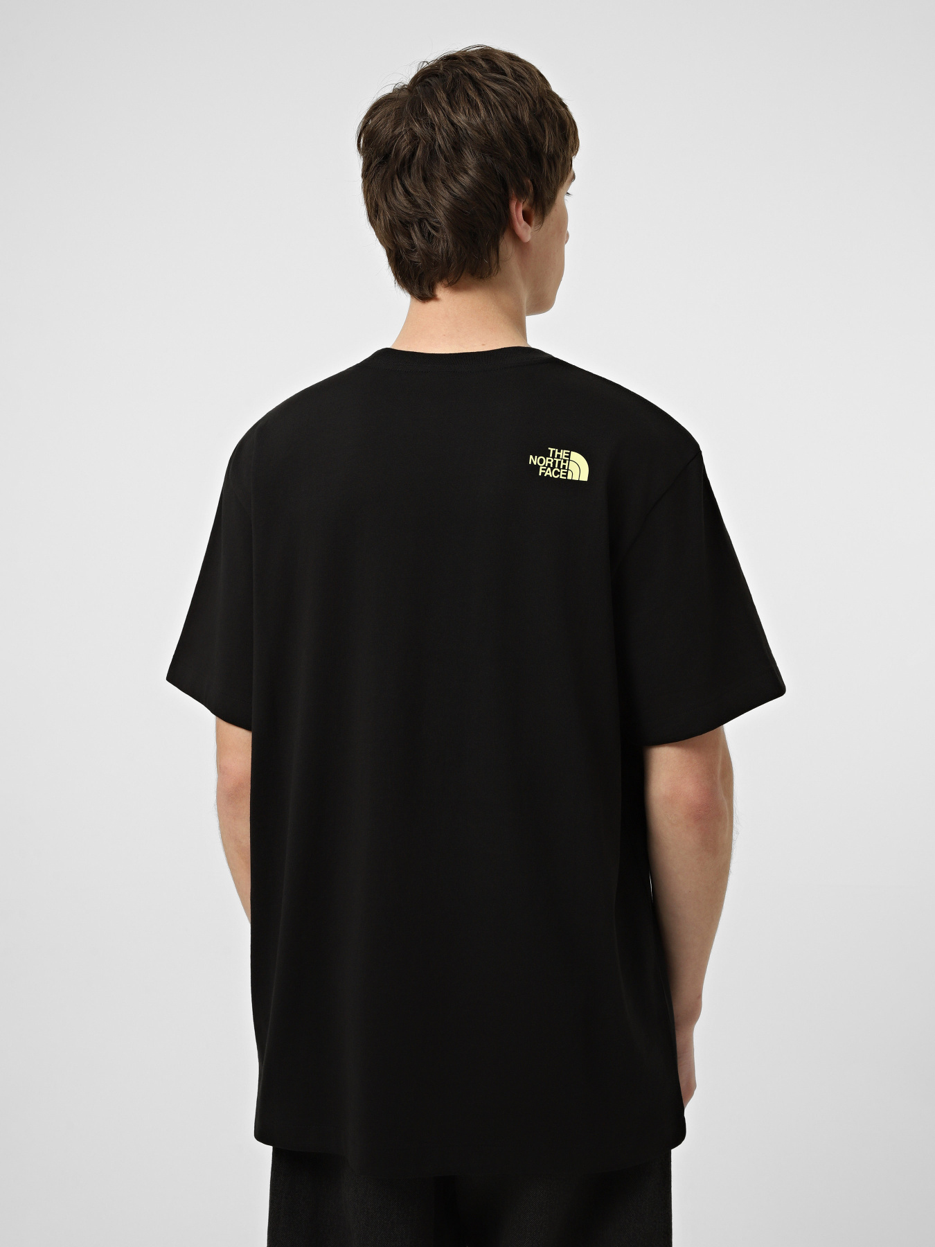 Футболки и поло The North Face M LOGO TWIST RELAXED SHORT SLE модель NF0A8GQVJK31 Фото