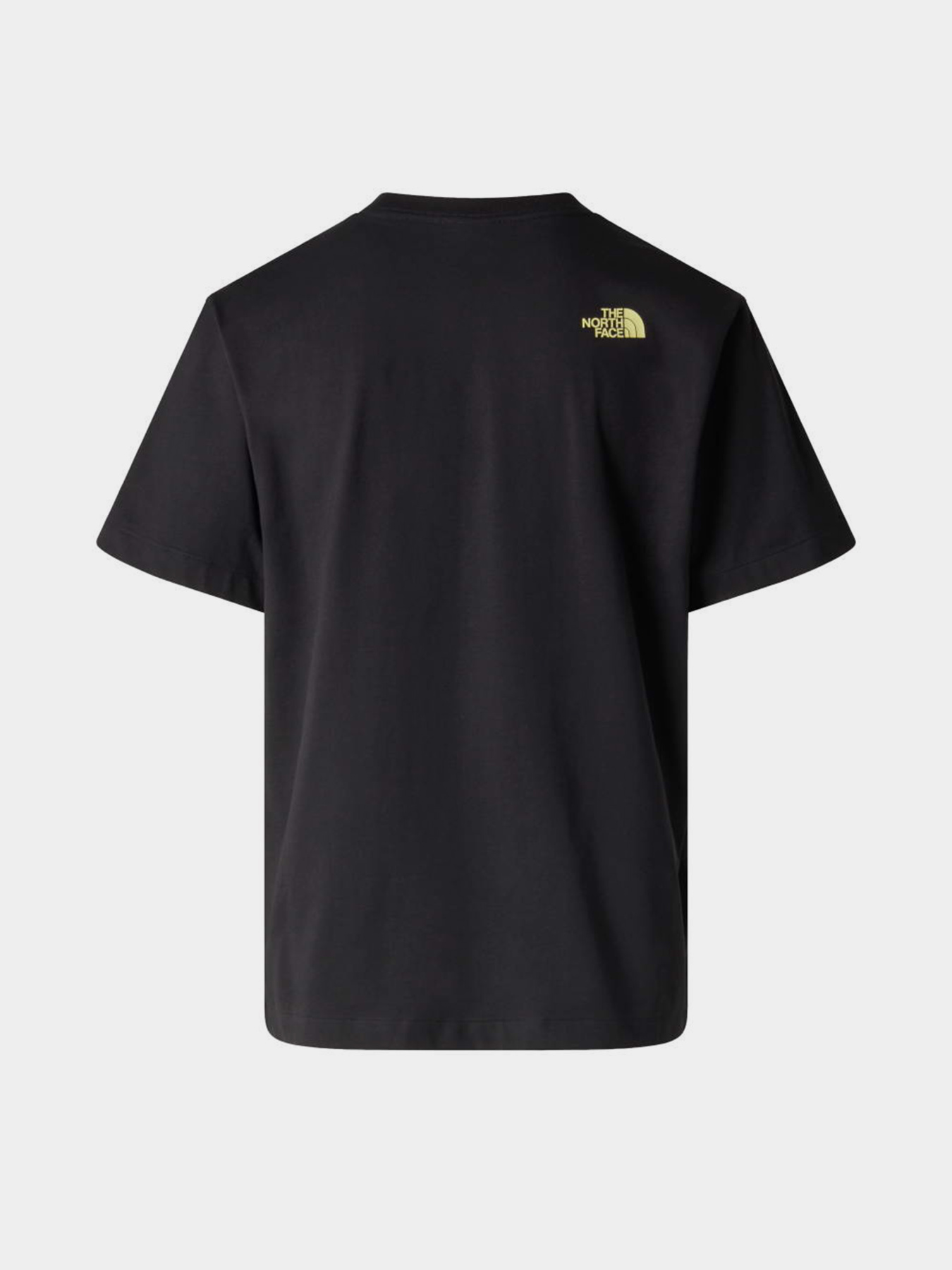 The North Face модель NF0A8GQVJK31 Фото