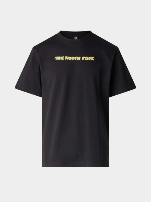 The North Face модель NF0A8GQVJK31 Фото