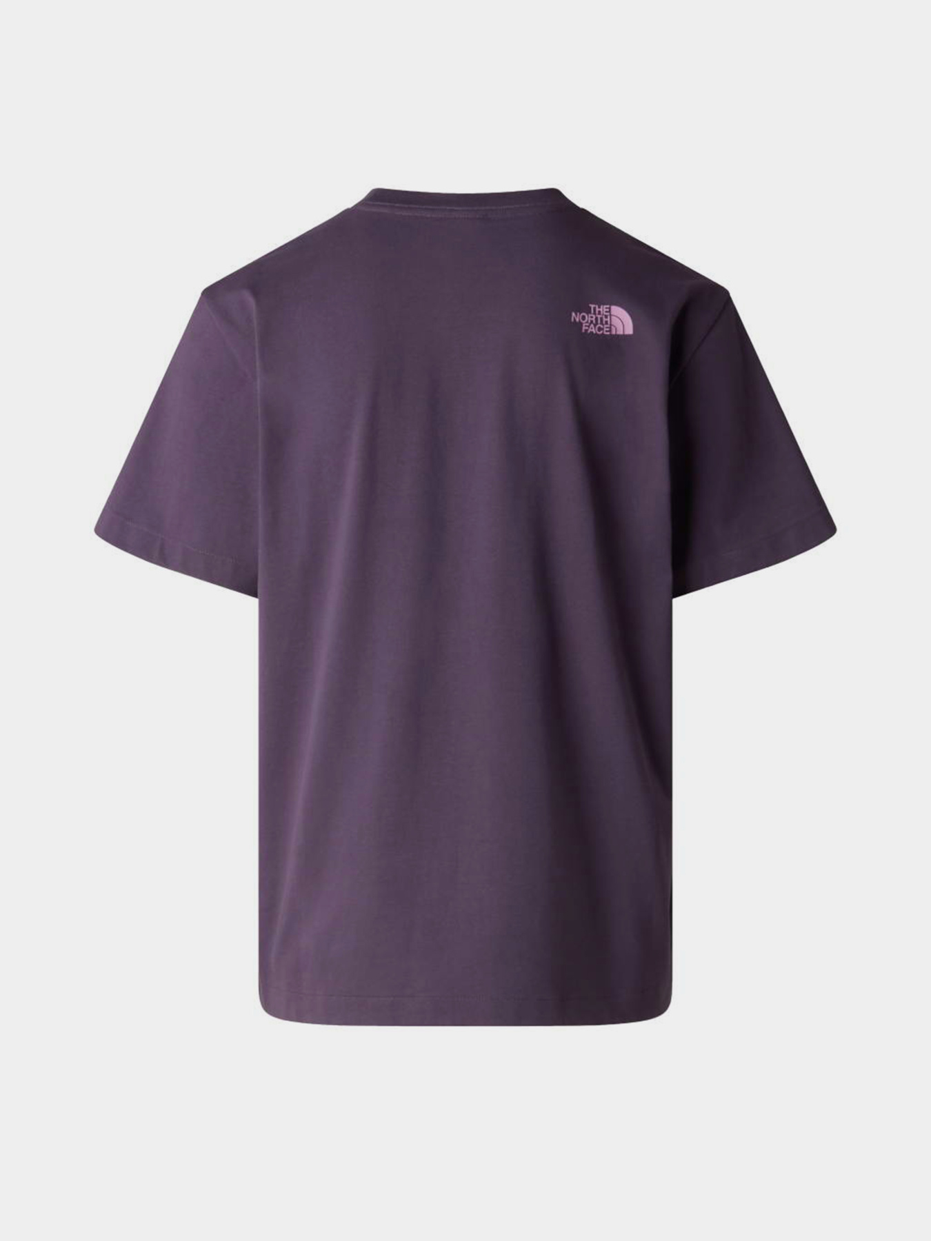 The North Face модель NF0A8GQVG5O1 Фото