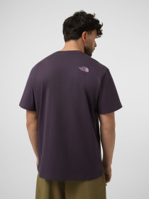 Футболки и поло The North Face M LOGO TWIST RELAXED SHORT SLE модель NF0A8GQVG5O1 Фото