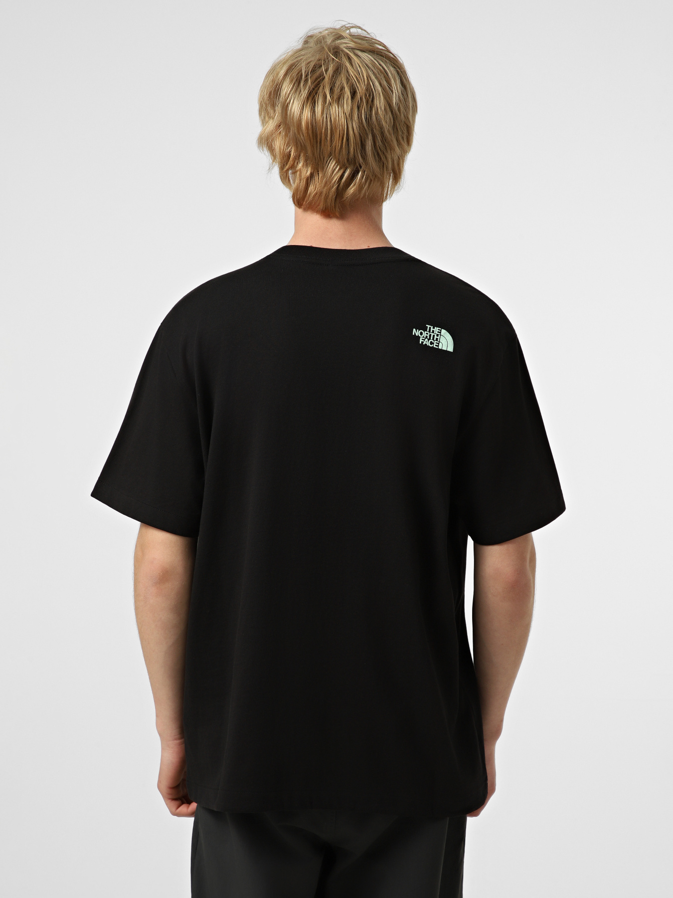 Футболки і поло The North Face M MOUNTAIN PLAY RELAXED SHORT модель NF0A8GQXJK31 Фото