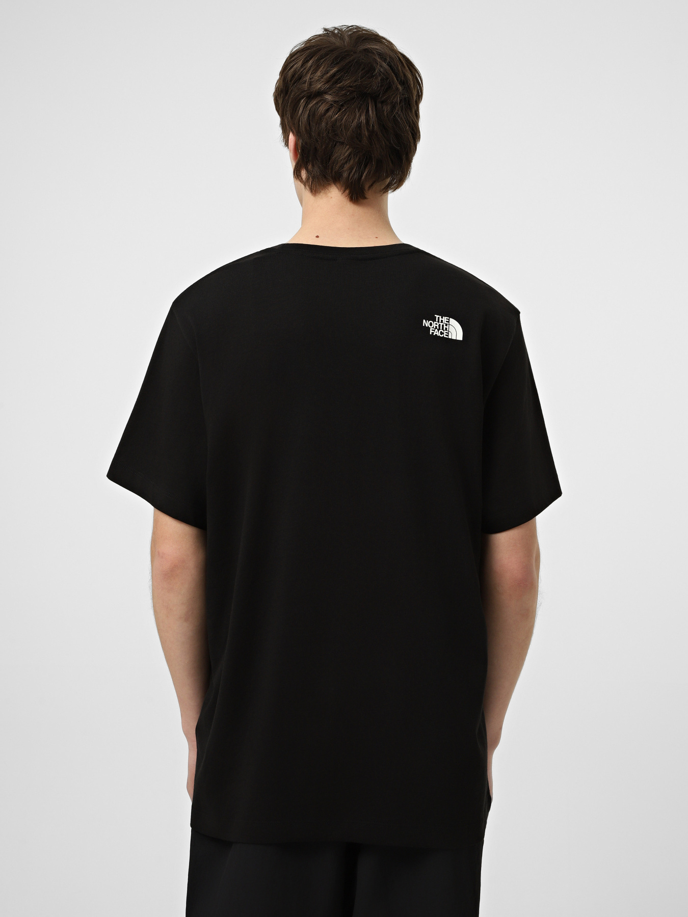 Футболки и поло The North Face M MOUNTAIN LOGO RELAXED SHORT модель NF0A8GUUJK31 Фото