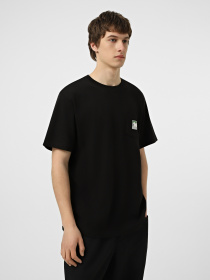 Футболка The North Face M MOUNTAIN LOGO RELAXED SHORT модель NF0A8GUUJK31 Фото