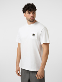 Футболка The North Face M MOUNTAIN LOGO RELAXED SHORT модель NF0A8GUUFN41 Фото