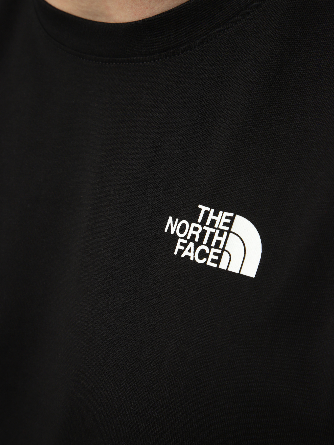 Футболки и поло The North Face M NORTH FACES REGULAR SHORT SL модель NF0A8GUWJK31 Футболки и поло The North Face M NORTH FACES REGULAR SHORT SL модель NF0A8GUWJK31 Фото