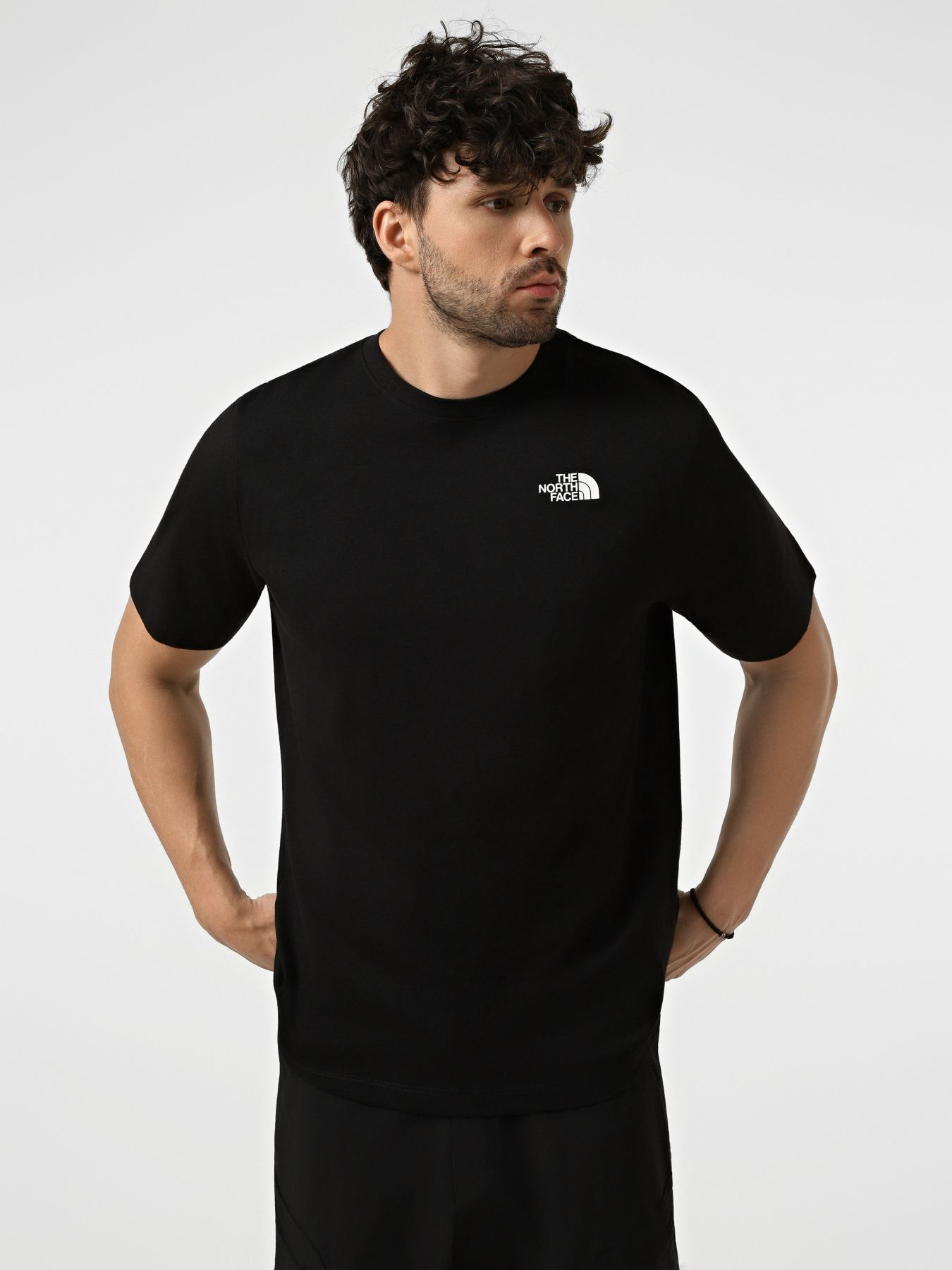 Футболки и поло The North Face M NORTH FACES REGULAR SHORT SL модель NF0A8GUWJK31 Футболки и поло The North Face M NORTH FACES REGULAR SHORT SL модель NF0A8GUWJK31 Фото
