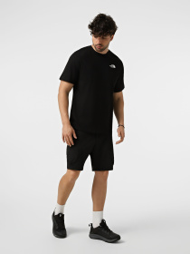 Футболки и поло The North Face M NORTH FACES REGULAR SHORT SL модель NF0A8GUWJK31 Фото
