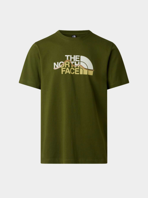 The North Face модель NF0A8GUXBRI1 Фото