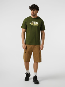 Футболки и поло The North Face M MOUNTAIN LINE REGULAR SHORT модель NF0A8GUXBRI1 Фото