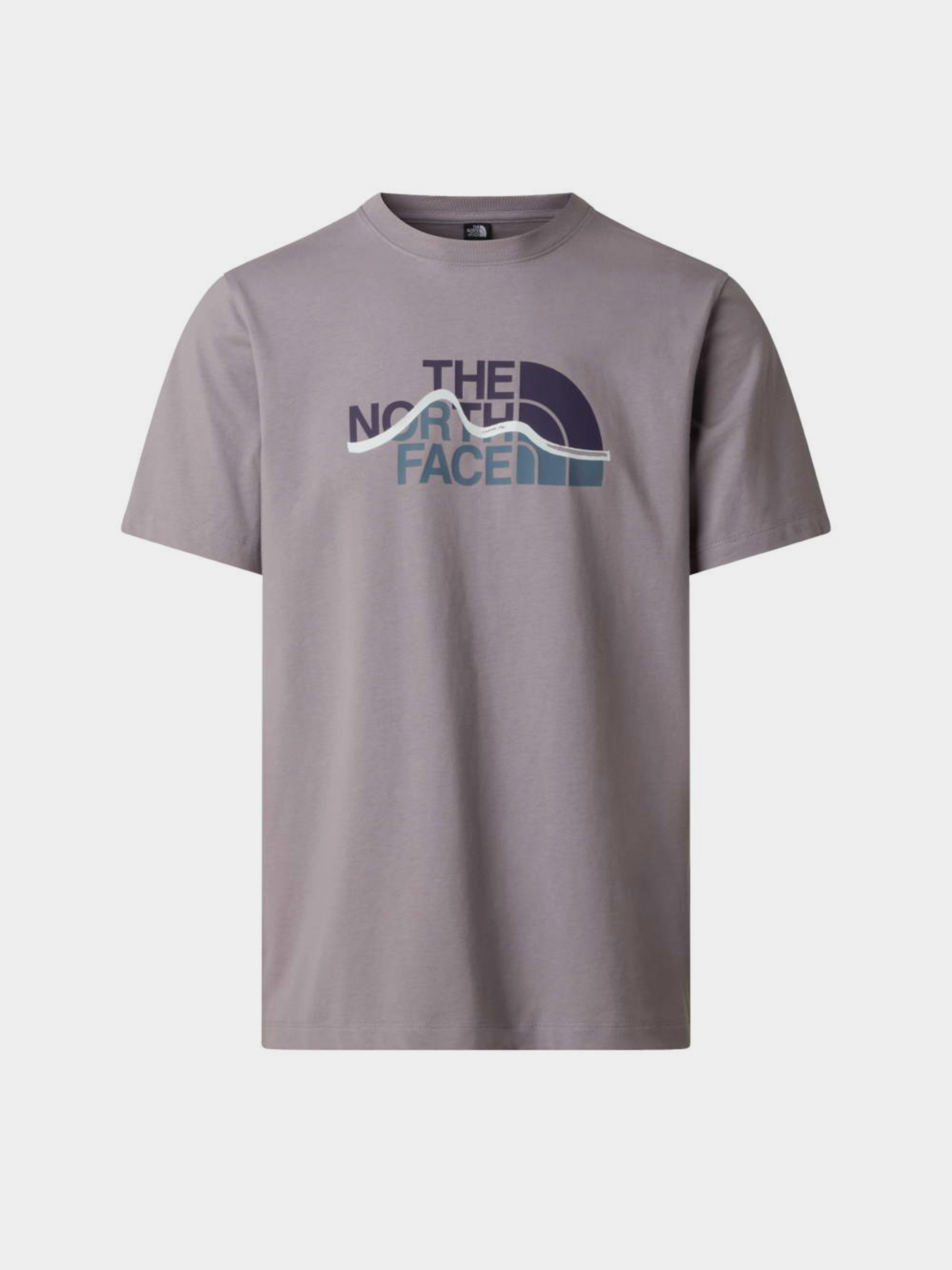 The North Face модель NF0A8GUXG7O1 Фото