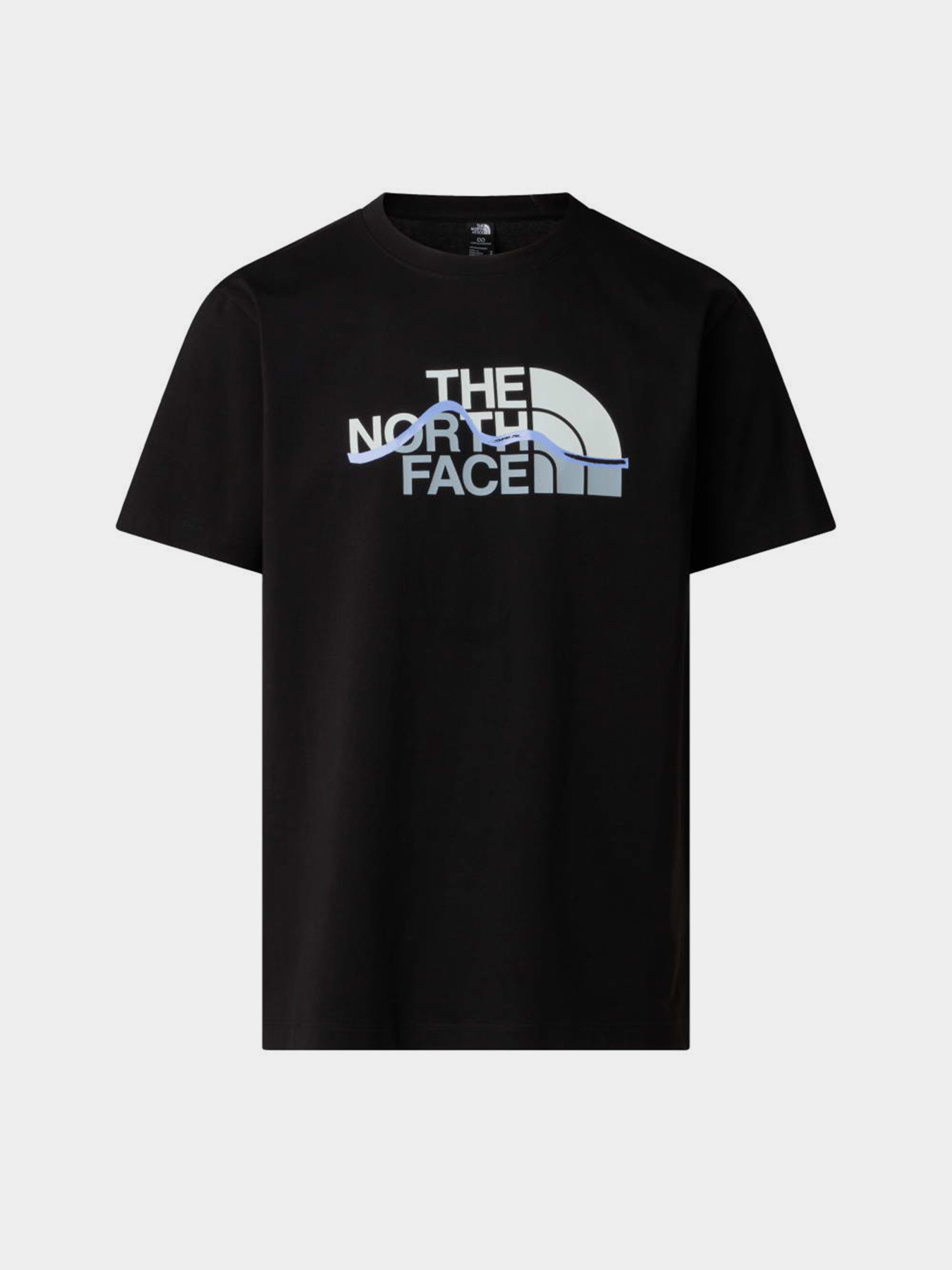 The North Face модель NF0A8GUXJK31 Фото