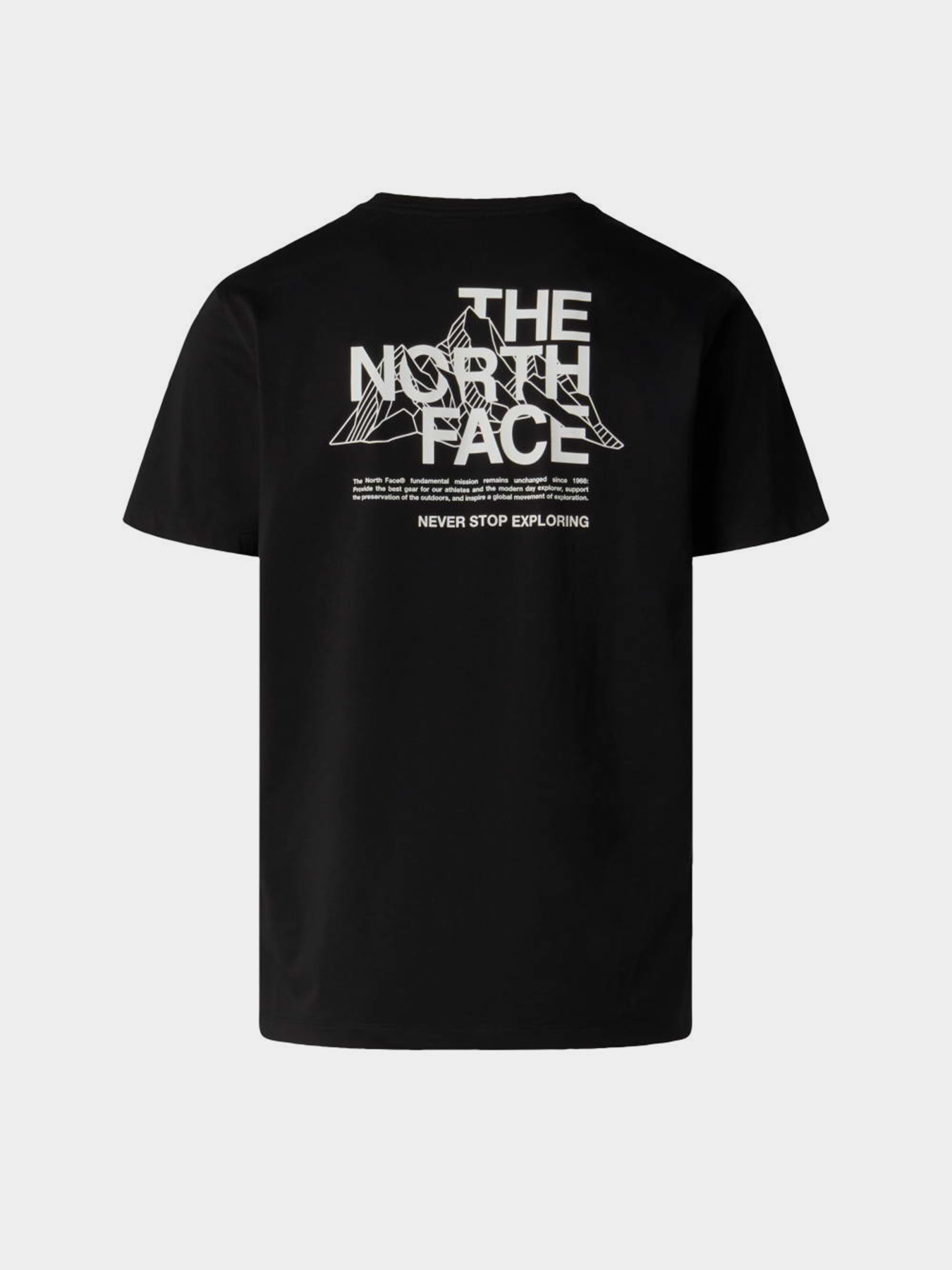 The North Face модель NF0A8GUZJK31 Фото