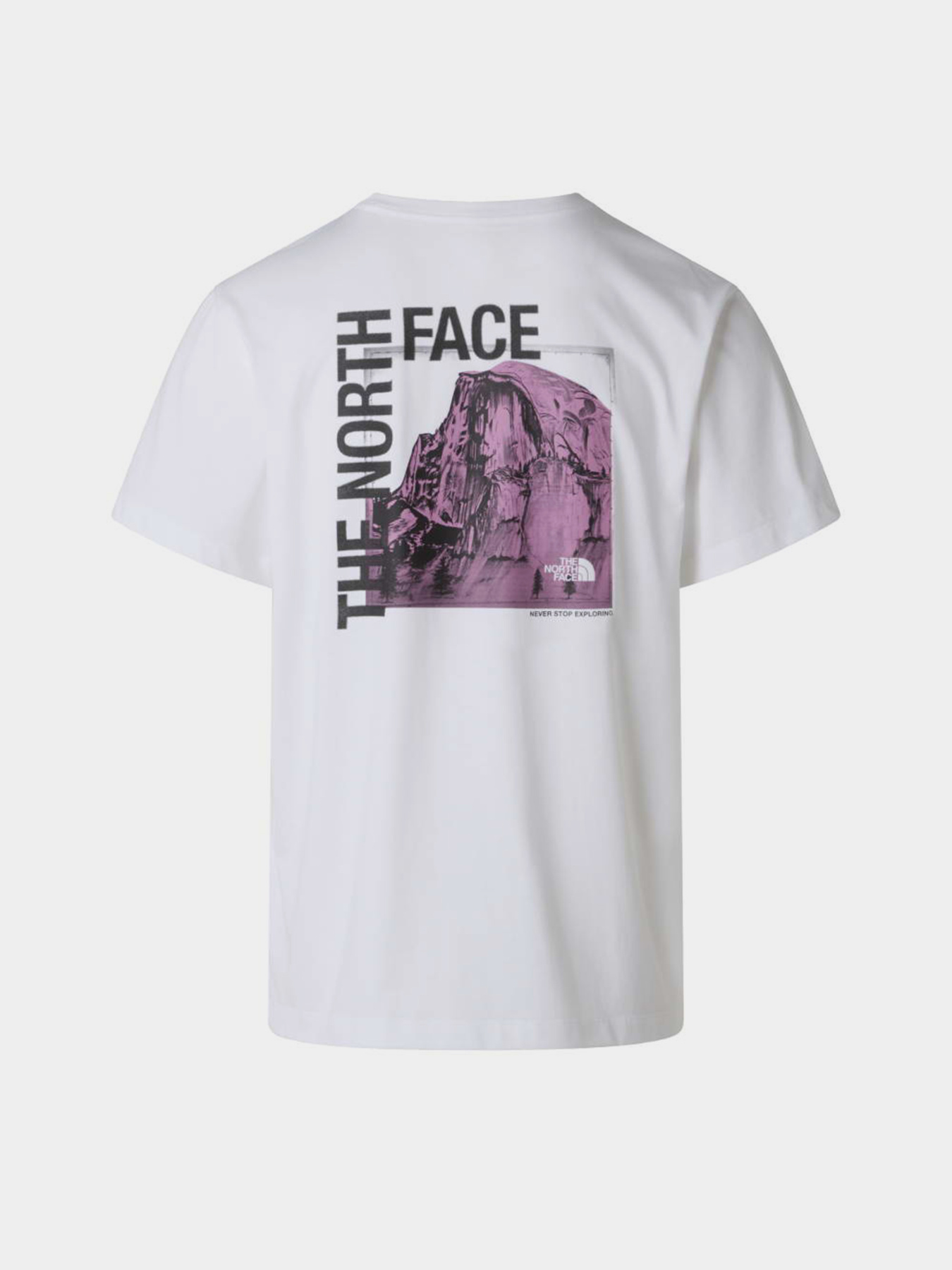 The North Face модель NF0A8GV0FN41 Фото