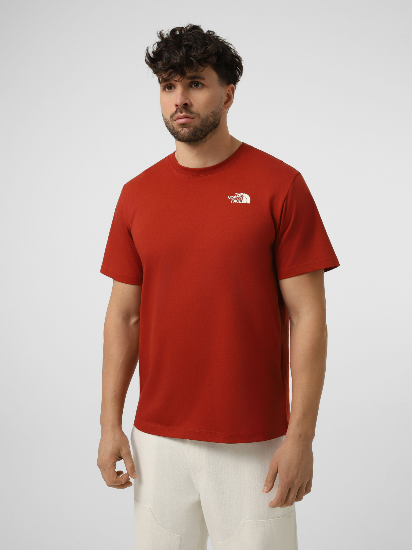 Футболки и поло The North Face M VERTICAL REGULAR SHORT SLEEV модель NF0A8GV1G6I1 Фото