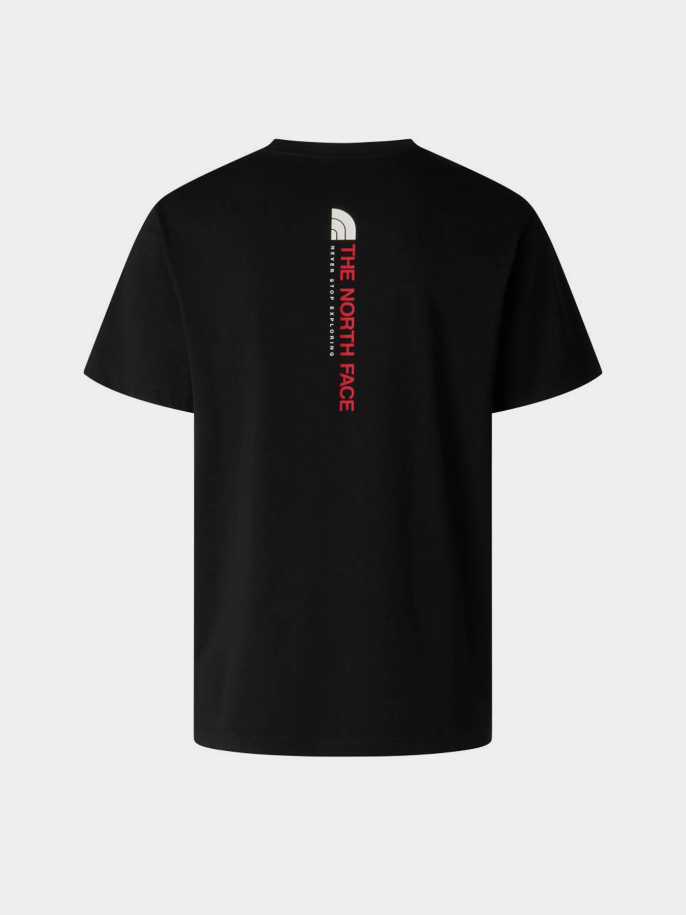 The North Face модель NF0A8GV1JK31 Фото