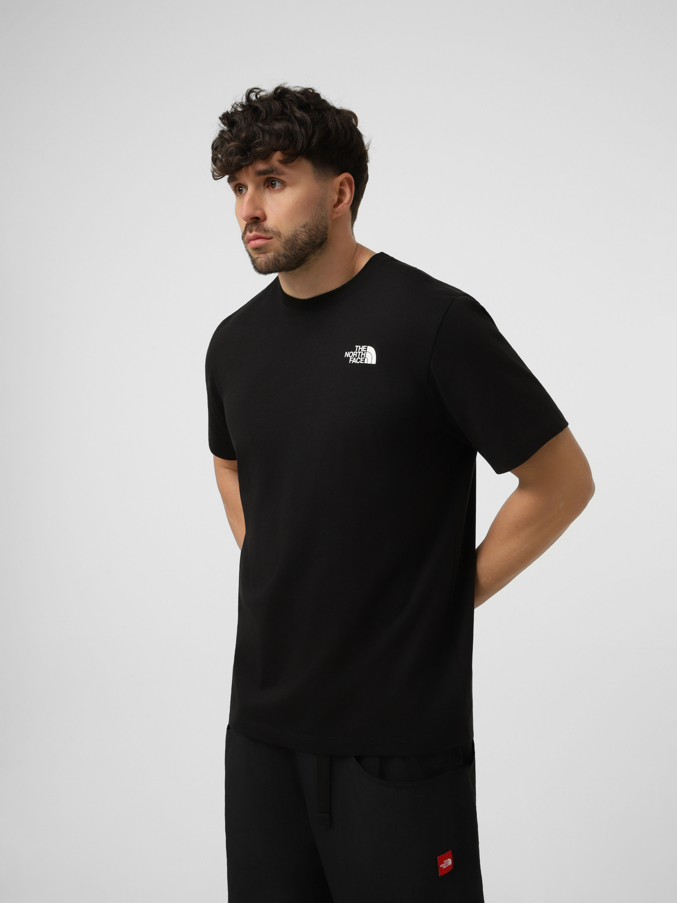 Футболки и поло The North Face M VERTICAL REGULAR SHORT SLEEV модель NF0A8GV1JK31 Фото
