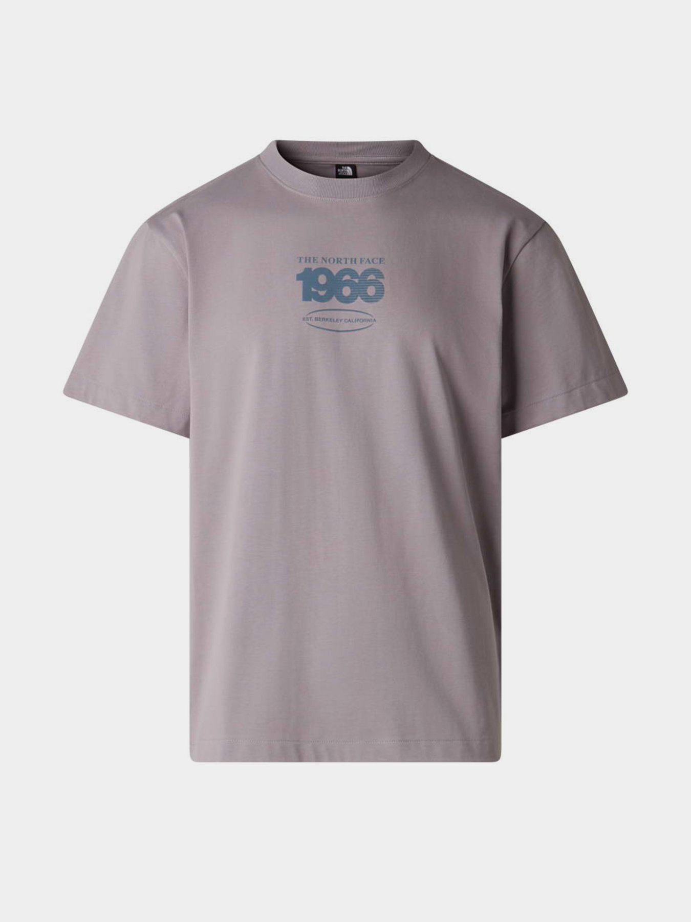 The North Face модель NF0A8H3CG7O1 Фото