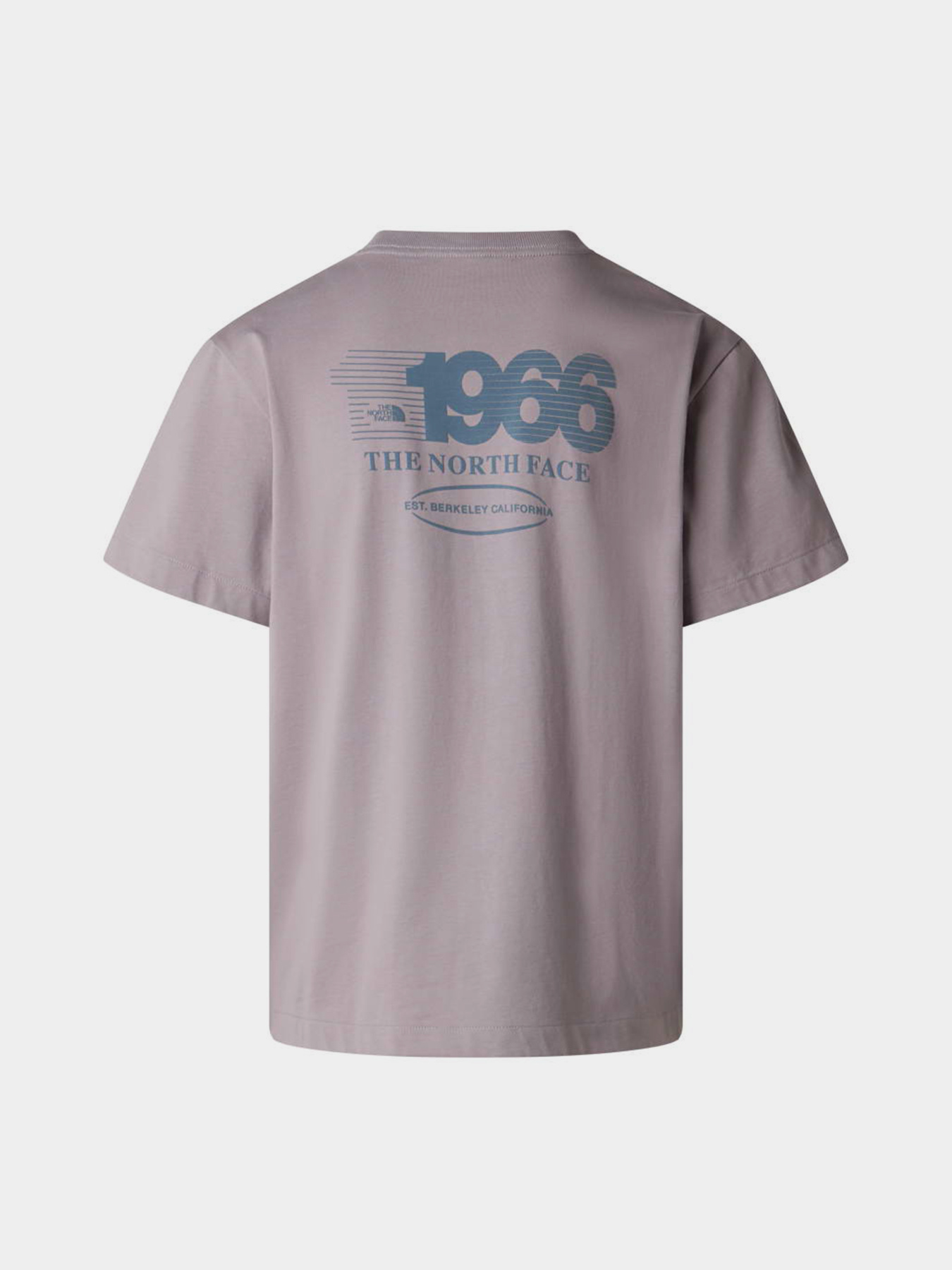 The North Face модель NF0A8H3CG7O1 Фото