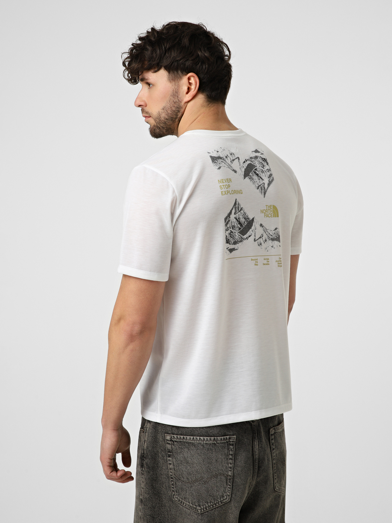Футболки и поло The North Face M FOUNDATION MOUNT SS TEE модель NF0A8HEYFN41 Фото