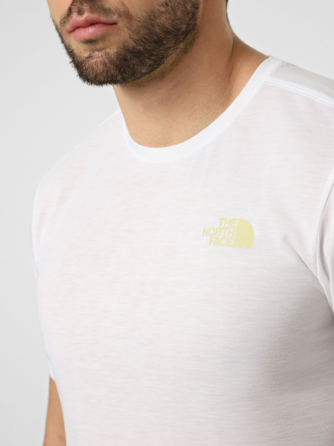 Футболки и поло The North Face M FOUNDATION MOUNT SS TEE модель NF0A8HEYFN41 Фото